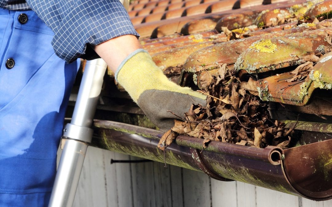Gutter Cleaning