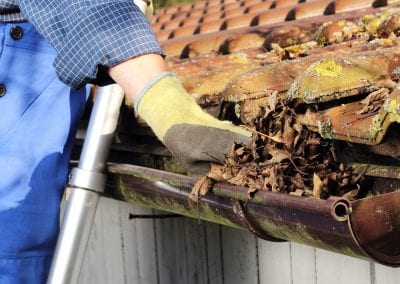 Gutter Cleaning