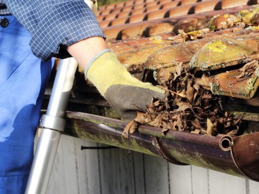 Gutter Cleaning